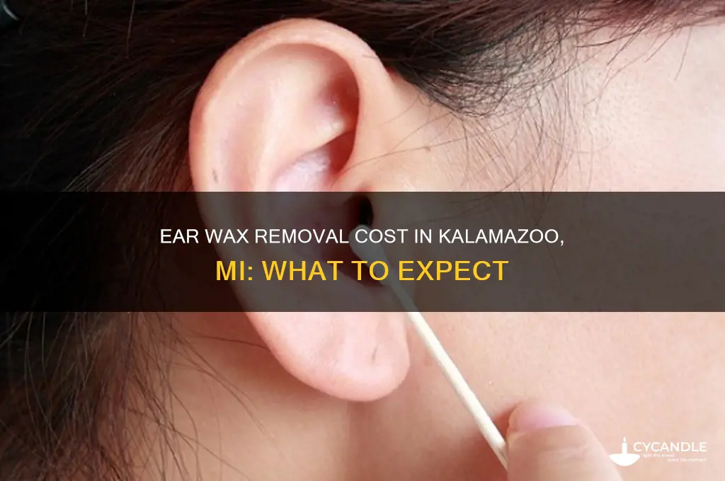 how mcuh does a ear wax removal cost kalamazoo mi