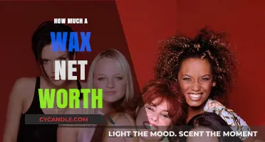 Unveiling the Value: A Comprehensive Guide to Wax's Net Worth