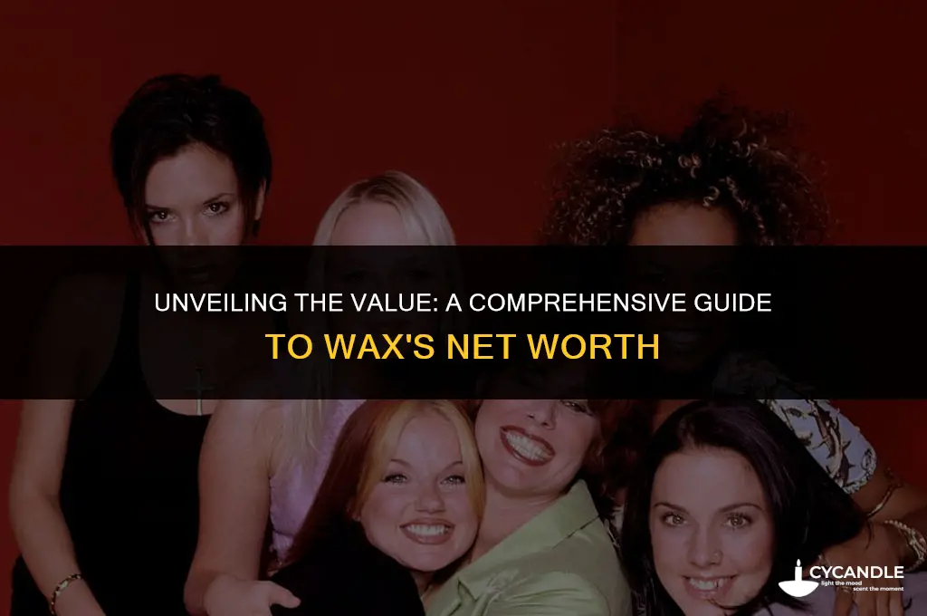 how much a wax net worth