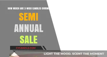Semi-Annual Sale: 3-Wick Candle Prices Revealed - Save Big!