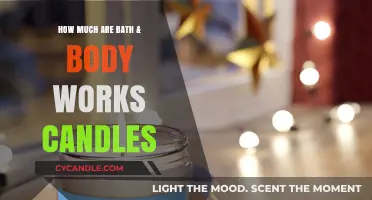 Bath & Body Works Candles: Pricing Guide for Every Budget