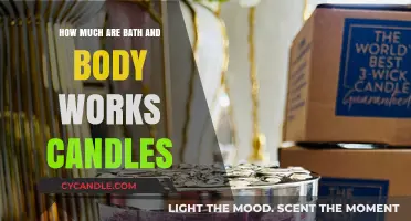 Bath & Body Works Candles: Pricing Guide for Every Budget
