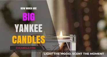 Big Yankee Candles Price Guide: How Much Do They Cost?