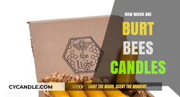 Discover the Price of Burt's Bees Candles: A Complete Guide