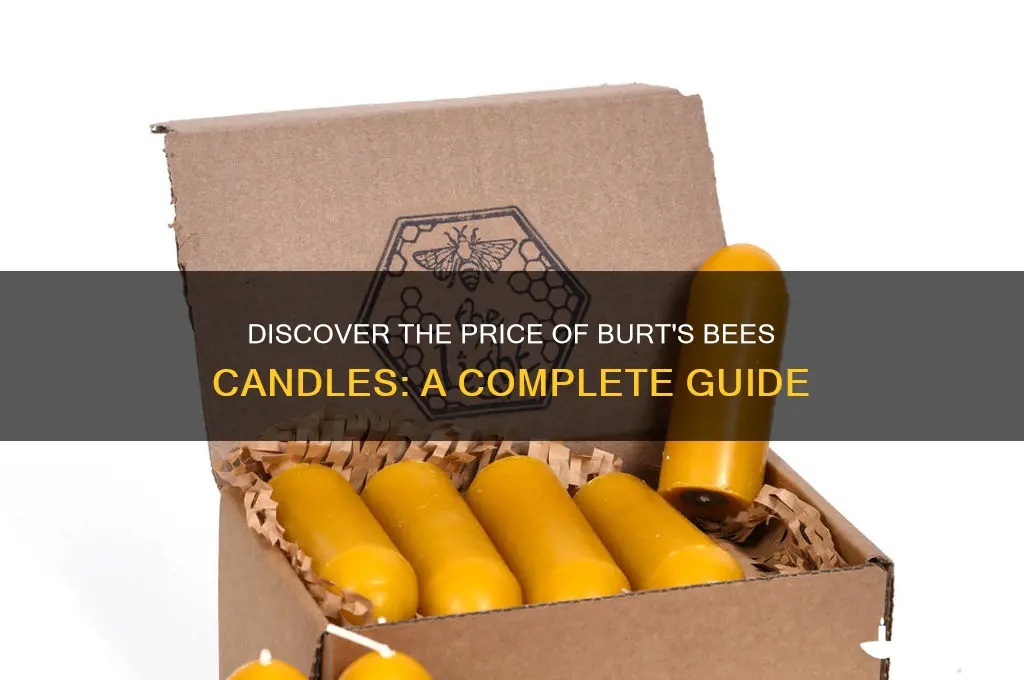 how much are burt bees candles