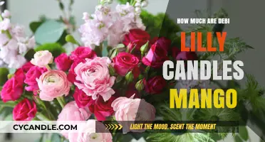 Debi Lilly Mango Candles: Price, Scent, and Where to Buy