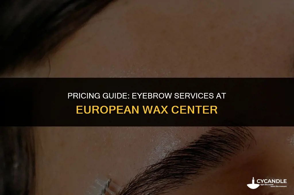 how much are eyebrows at european wax center