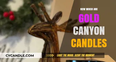 Gold Canyon Candles: Pricing Guide for Quality and Fragrance