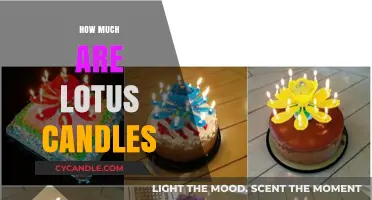 Lotus Candles Price Guide: How Much Do They Cost?