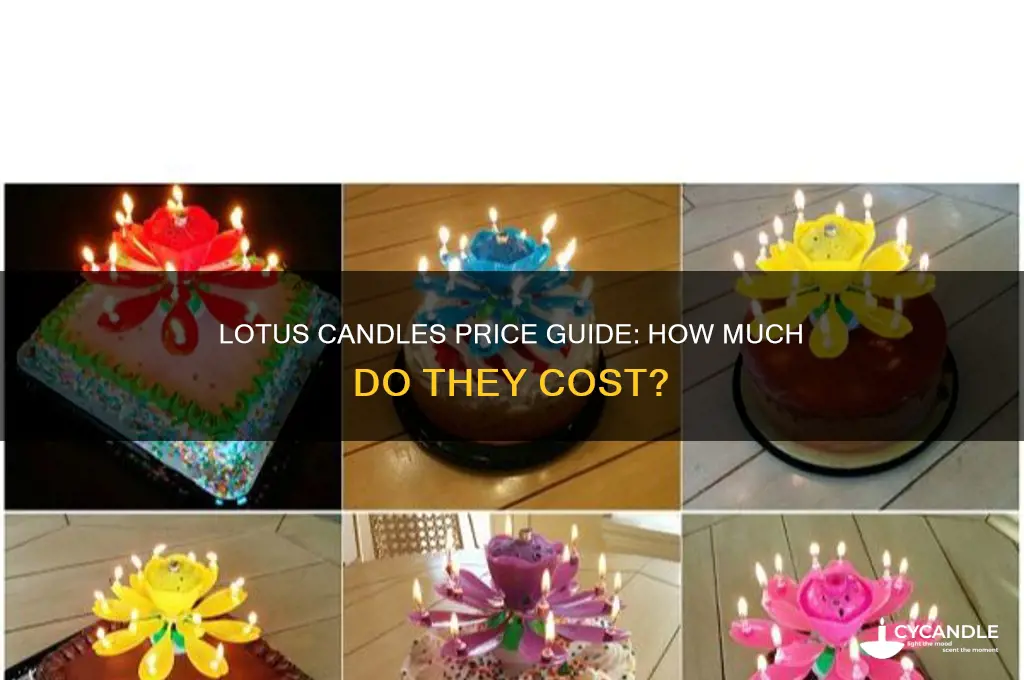 how much are lotus candles