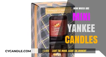 Mini Yankee Candles: Affordable Prices and Scent Options Revealed