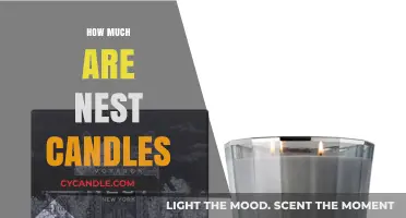 Discover the Price of Nest Candles: A Comprehensive Cost Guide
