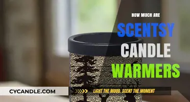 Scentsy Candle Warmers: Pricing Guide for Every Budget