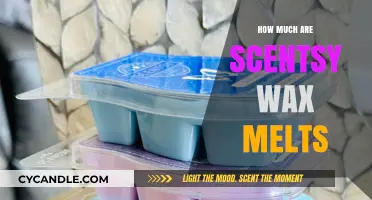 Discover the Enchanting World of Scentsy Wax Melts: A Fragrant Journey