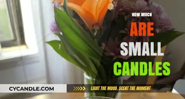 Affordable Ambiance: Exploring the Cost of Small Candles for Your Home