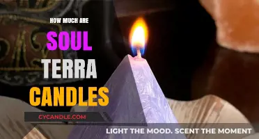 Soul Terra Candles: Pricing Guide for Eco-Friendly Aromatic Bliss