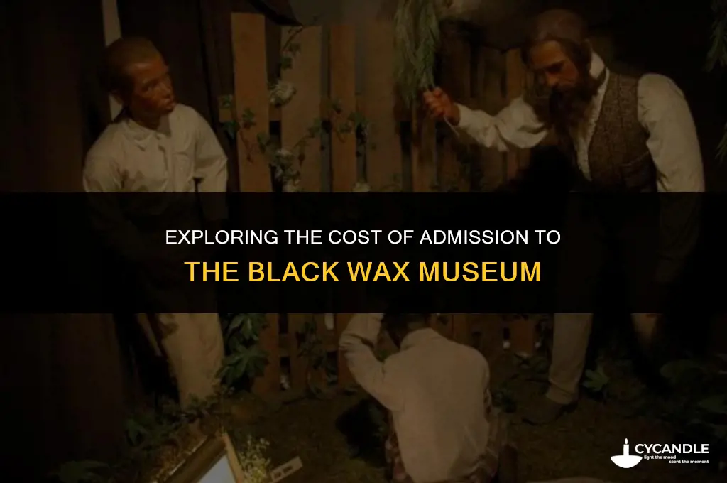 how much are the tickets for the black wax museum