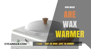 Discover the Perfect Wax Warmer: A Comprehensive Guide to Prices and Features