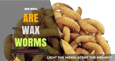 The Cost of Wax Worms: A Comprehensive Guide for Anglers
