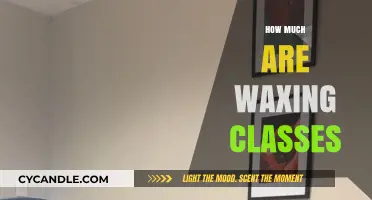 Unlocking the Cost: A Guide to Waxing Class Prices
