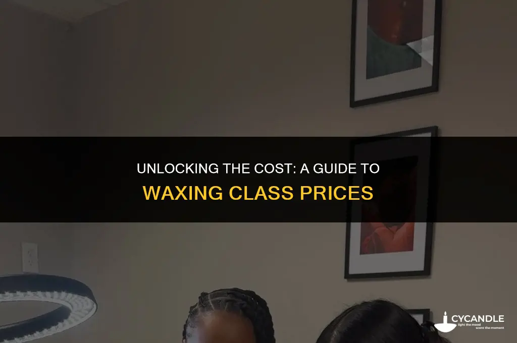 how much are waxing classes