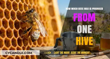 Unlocking the Secrets of Beeswax Production: A Hive's Bounty Revealed