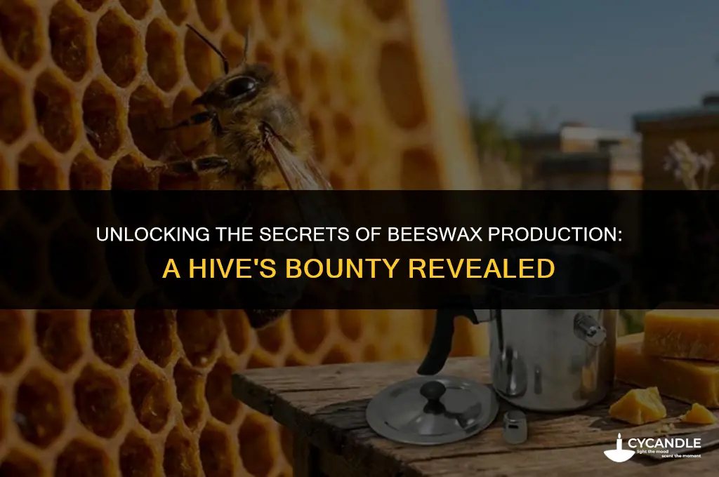 how much bees wax is produced from one hive