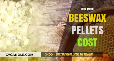 Understanding the Cost of Beeswax Pellets: A Comprehensive Pricing Guide