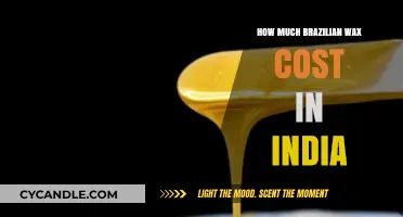 Brazilian Wax Cost in India: A Comprehensive Price Guide
