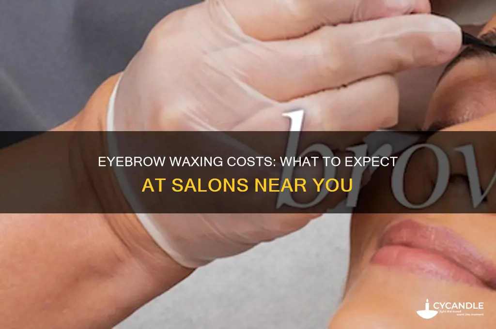 how much can eyebrow waxing cost