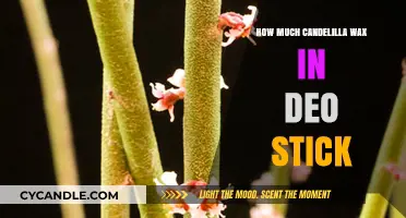 Unlocking the Secret: Optimal Candelilla Wax Ratio in DIY Deo Sticks