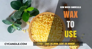 Optimal Candelilla Wax Usage: A Comprehensive Guide for Beginners