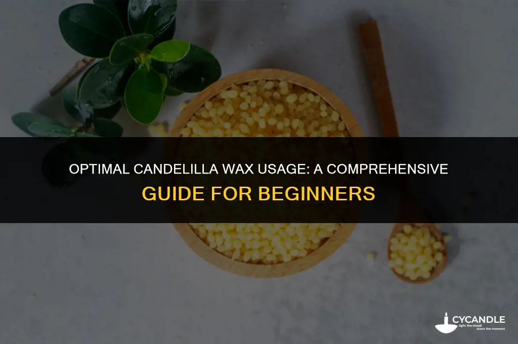 how much candelilla wax to use