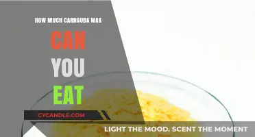 Is Carnauba Wax Edible? Safe Consumption Limits Explained