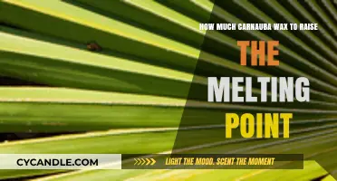 Enhancing Melting Point: Optimal Carnauba Wax Ratio Revealed