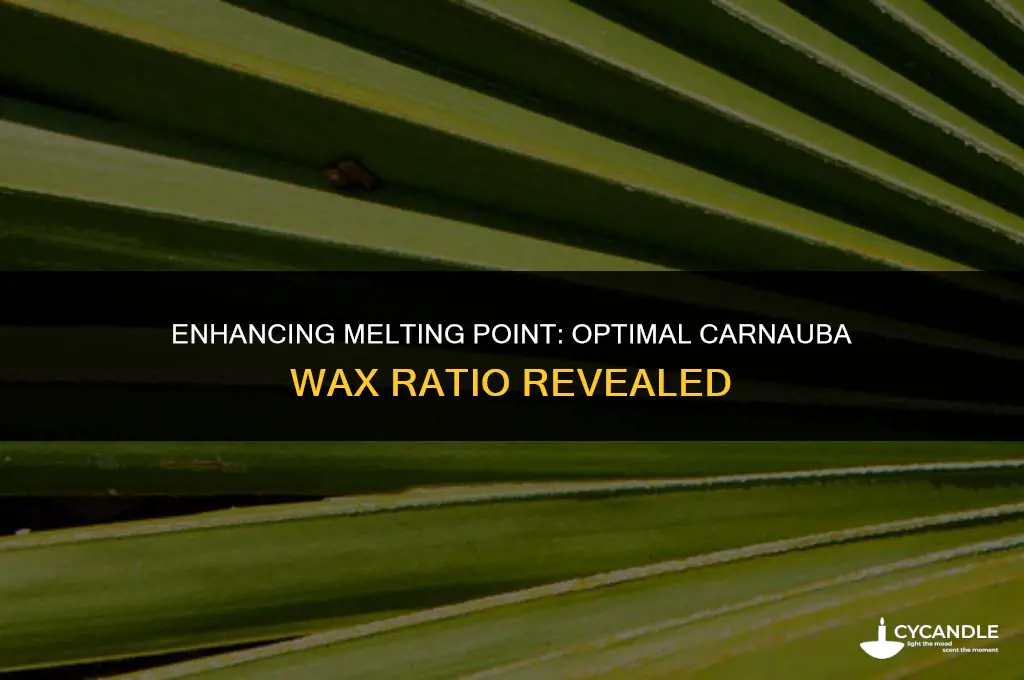 how much carnauba wax to raise the melting point