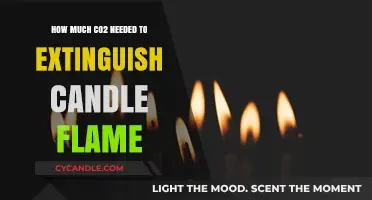 CO2's Power: The Exact Amount Needed to Snuff a Candle Flame