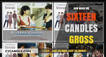 Sixteen Candles Box Office Success: Total Gross Earnings Revealed