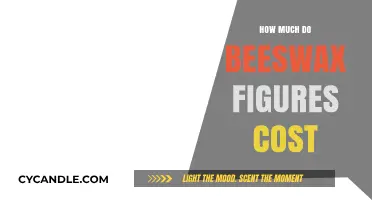 Beeswax Figures: Unveiling the Cost of Crafting Lifelike Masterpieces