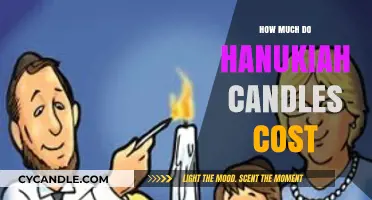 Hanukiah Candles Cost Guide: Affordable to Luxury Options Explored