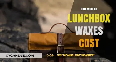 Unveiling the Cost Mystery: Lunchbox Waxes Price Guide