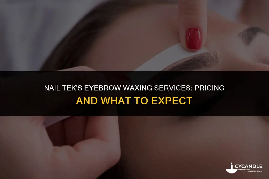 how much do nail tek charge to wax eyebrow