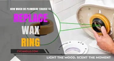 Cost Breakdown: Replacing a Wax Ring in Your Plumbing System