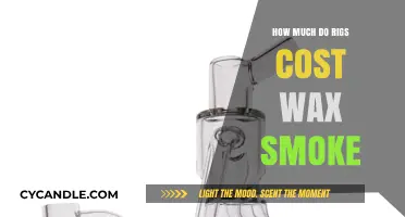 Exploring the Cost of Rigs for Wax Smoking: A Comprehensive Guide