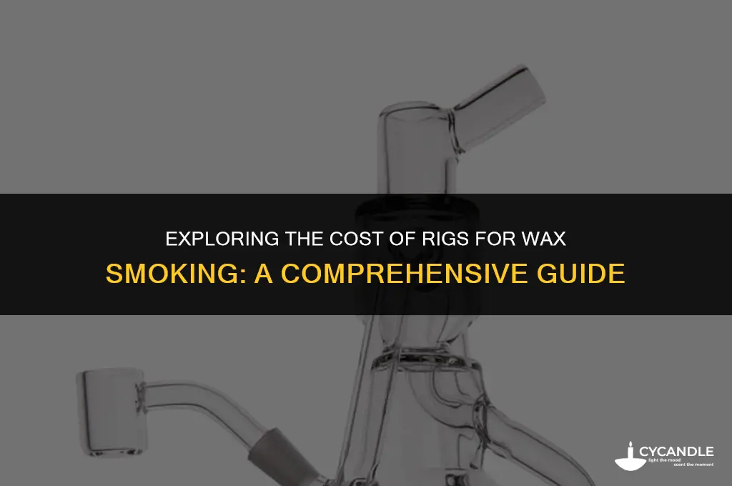 how much do rigs cost wax smoke