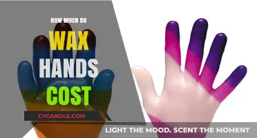 Exploring the Price of Lifelike Wax Hands: A Detailed Guide