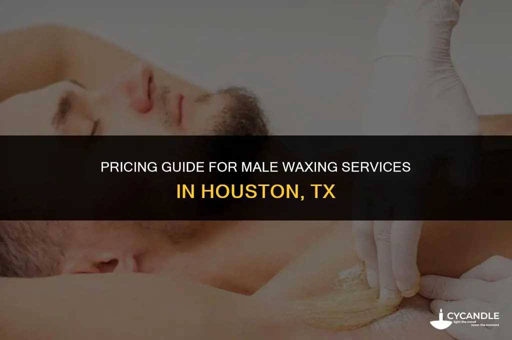 how much do you charge male waxing houston tx