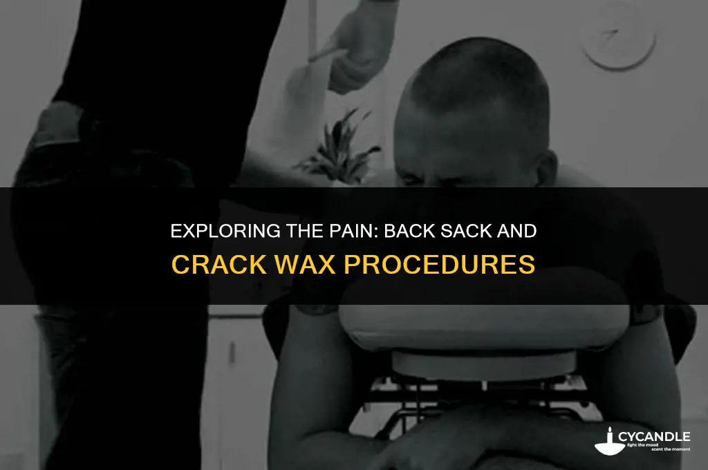 how much does a back sack and crack wax hurt