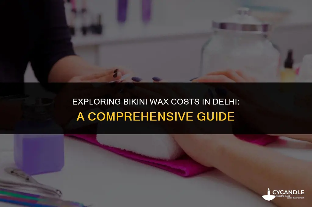 how much does a bikini wax cost in delhi