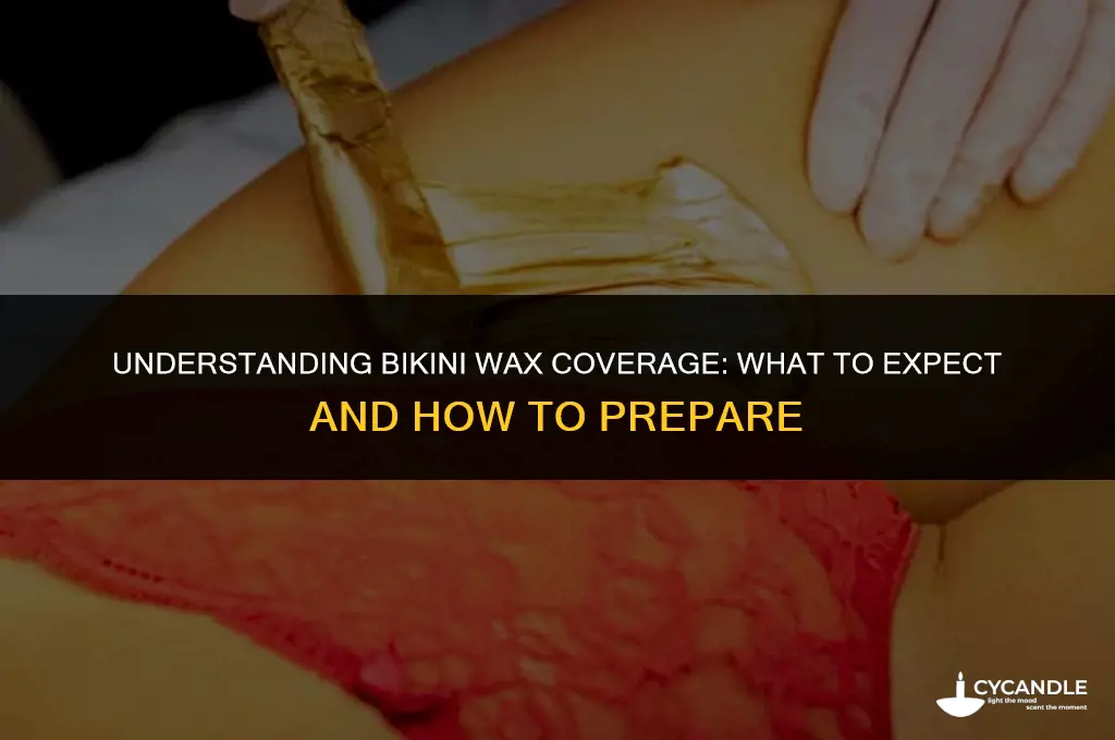 how much does a bikini wax cover